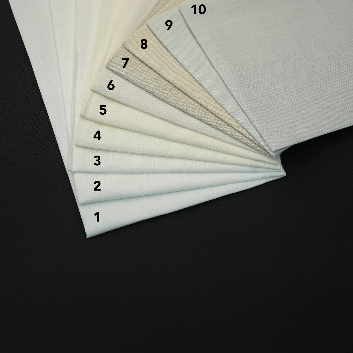 خام مونتي كارلو (لينين)